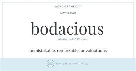 BODACIOUS Definition & Meaning .
